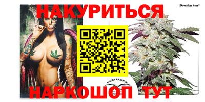 дмт Кимры