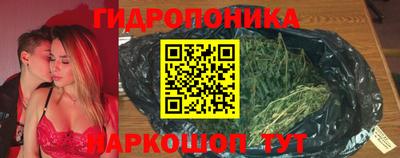 дмт Кимры