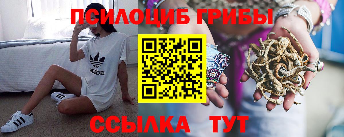 Тимашёвск  Псилоцибиновые грибы ЛСД  Вход с VPN 