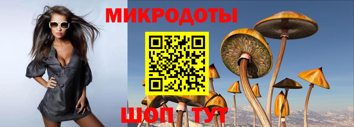 Галлюциногенные грибы ЛСД Тимашёвск